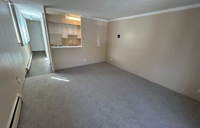 Studio, 1 bath, 424 sqft, $1,050, Unit 103