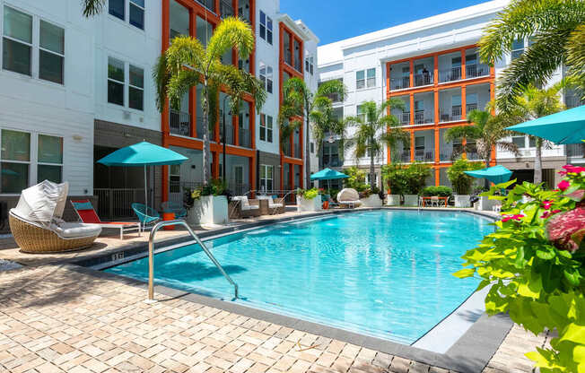 3-Bedroom Apartments in Tampa, FL - Havana Square - Modern Resort-Style Swimming Pool with Umbrellas, Lounge Seats, Plants, and Palm Trees.
