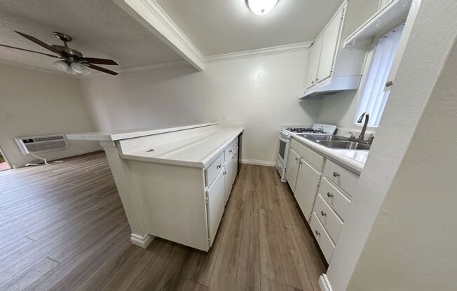 Studio, 1 bath, 450 sqft, $1,575, Unit 229