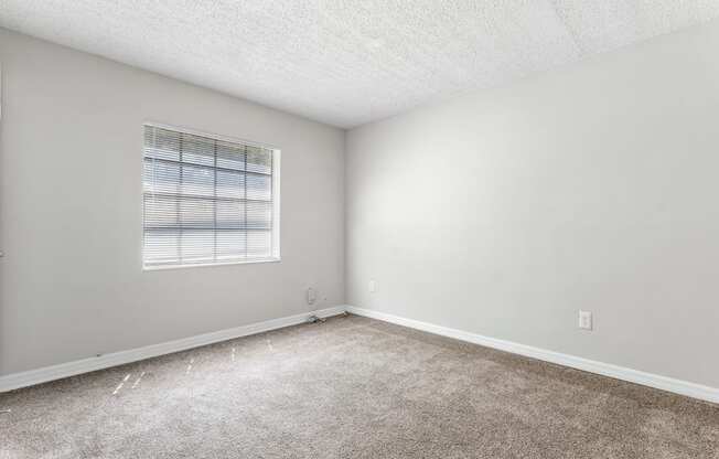 an empty room with carpet and a window