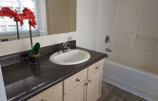 1 bed, 1 bath, 425 sqft, $1,550, Unit 808
