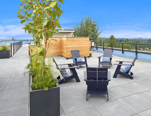 Studio, 1 bath, 355 sqft, $1,297, Unit 312