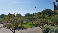 2 beds, 2 baths, 1,206 sqft, $3,000, Unit 115