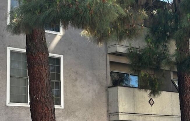 Beautifully remodeled 1 bedroom & 1 bath unit in the heart of Concord