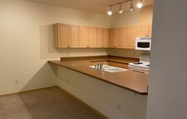 1 bed, 1 bath, 579 sqft, $1,450