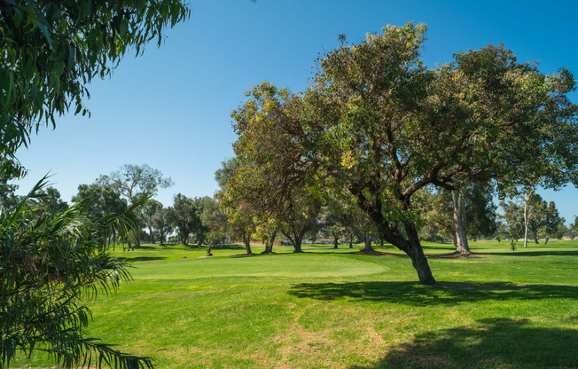 Hit the Links at Mission Bay Golf Course