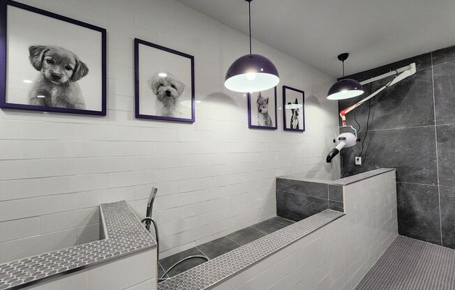 Pet Spa