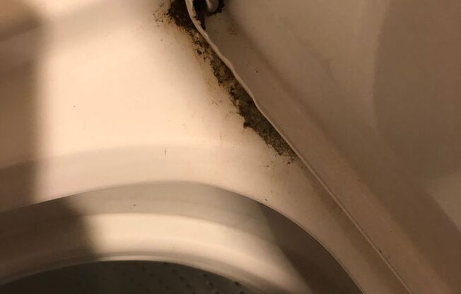 3 beds, 1.5 baths, 1,480 sqft, $1,575, Unit WC-1