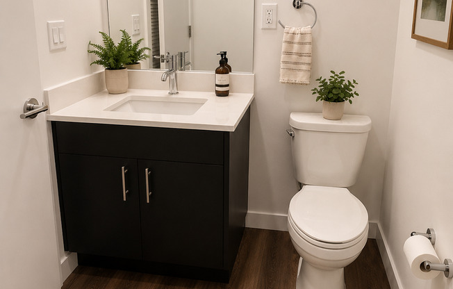1 bed, 1 bath, 385 sqft, $1,695, Unit 303