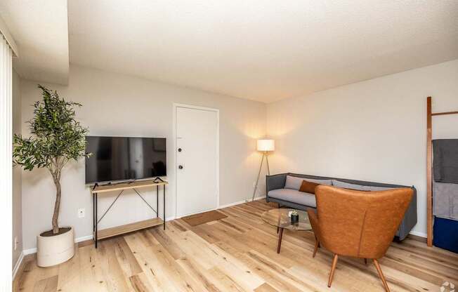 A living room with a television, a chair, and a small tree.