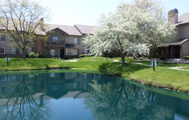 A tree with white flowers stands next to a body of water in front of a building.