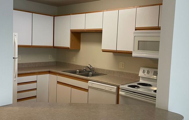 1 bed, 1 bath, 725 sqft, $908, Unit 205S