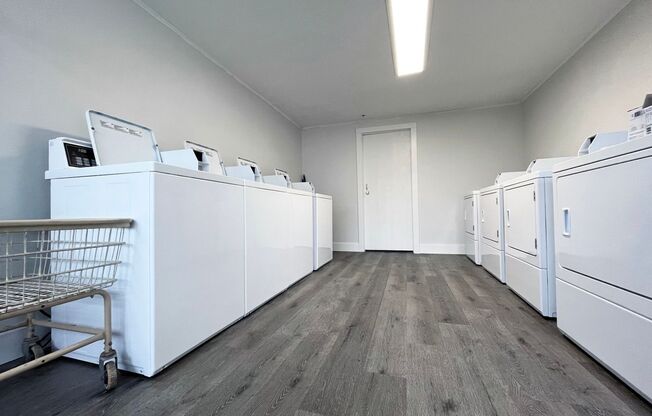 2 beds, 1 bath, 864 sqft, $1,175, Unit 2139 Pine Grove Ln-R+