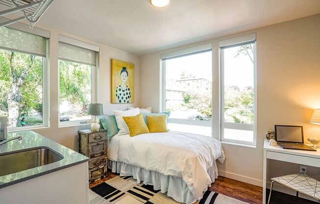 Alcove Spring Park - Modern Cozy Studio Apartments in First Hill