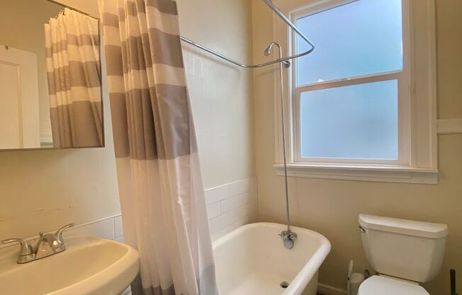 1 bed, 1 bath, $1,500, Unit Unit 308
