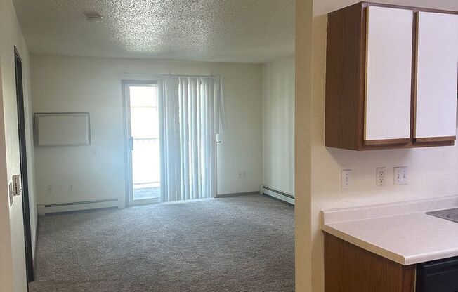 1 bed, 1 bath, 700 sqft, $675, Unit 205