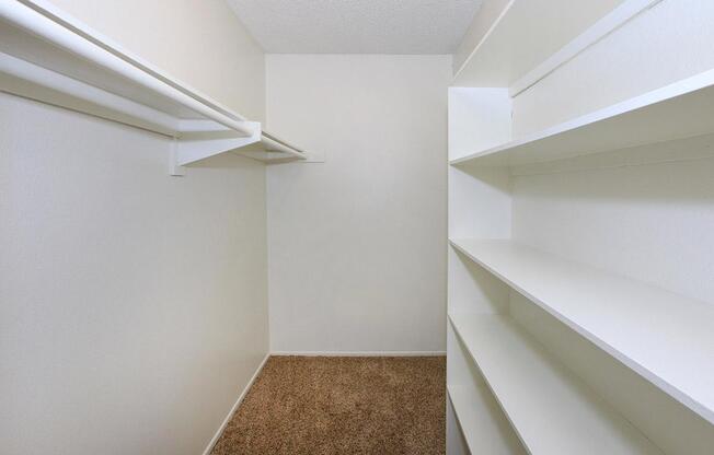 SPACIOUS WALK-IN CLOSET