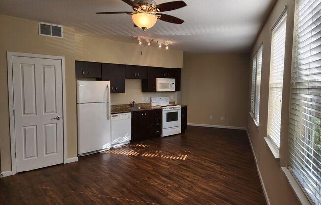 Studio, 1 bath, 448 sqft, $1,285, Unit 3-411