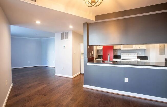 Spacious 1 Bedroom unit in Adams Morgan area