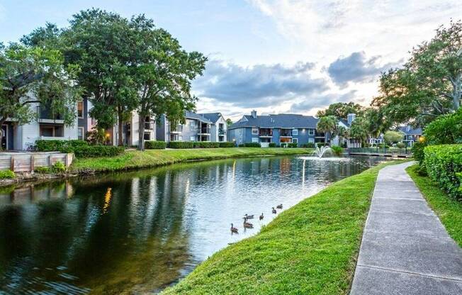 Water with ducks, and sidewalk along the edge - building across the water Bay Crossing | Tampa Apartments