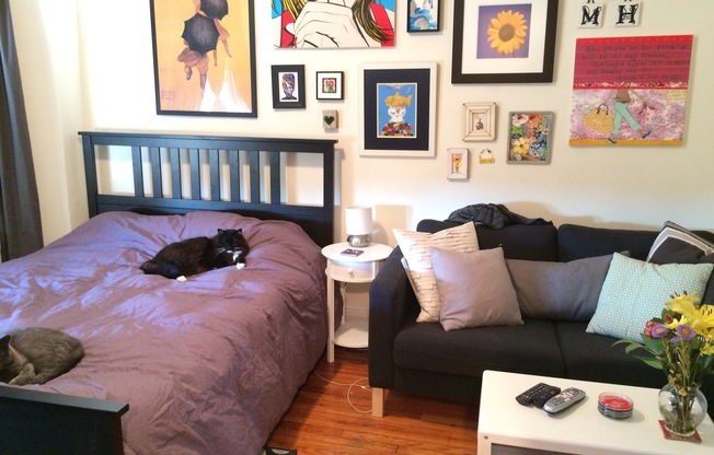 1209- Boylston Street LLC