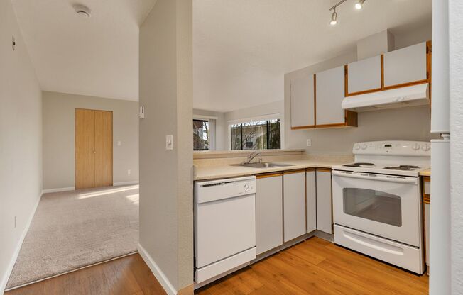 Studio, 1 bath, 504 sqft, $1,646, Unit 410