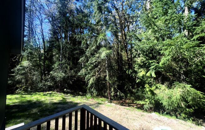 Remodeled 1BR Cottage on Private Wooded Lot