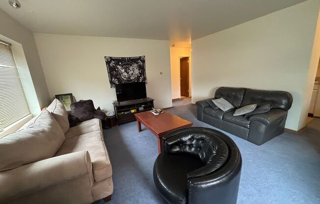 1 bed, 1 bath, 590 sqft, $1,325