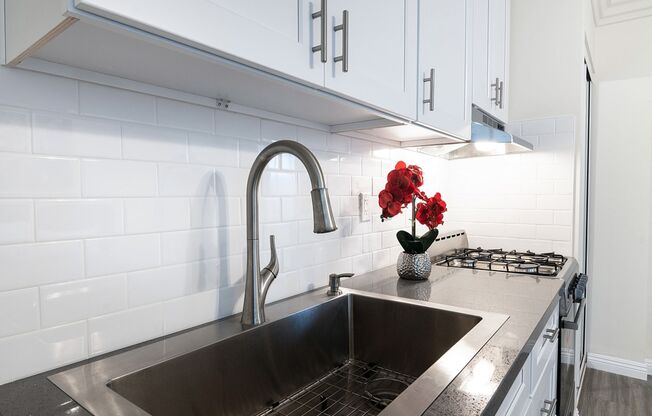 Studio, 1 bath, 126 sqft, $1,595, Unit 125