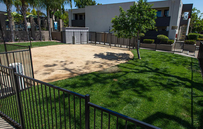 Dog Park with Lush Grass and a Black Fence at Aspire Upland Apartments, California, 91786