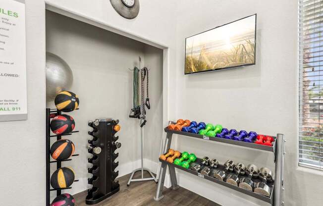 A room with a rack of exercise balls and a wall with a clock.