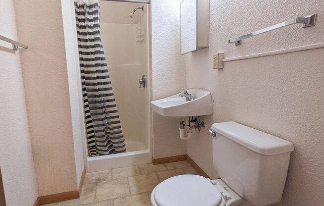 1 bed, 1 bath, 270 sqft, $540, Unit 415