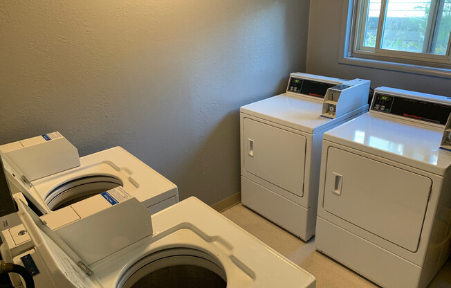 Studio, 1 bath, 350 sqft, $925, Unit 203