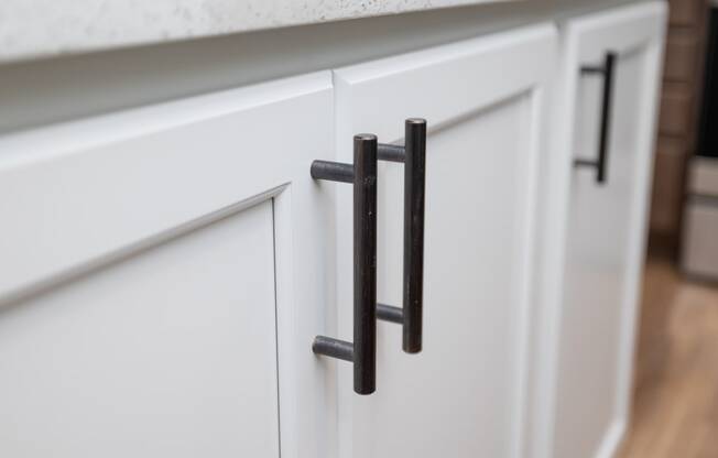 Vicinity at Horn Rapids Apartments Model Cabinet Handles