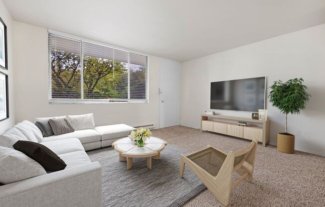 Walkable One-Bedroom Apartments Near the University of Washington