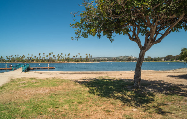 Waterfront Activities at Mission Bay Park