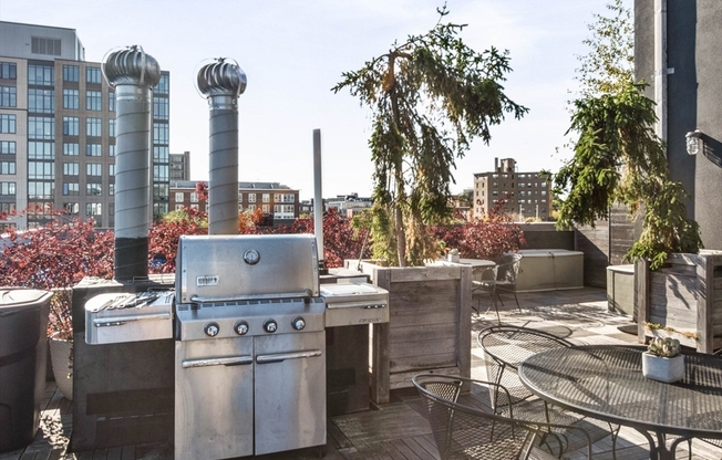 1 bed, 1 bath, 1,271 sqft, $4,500, Unit 203