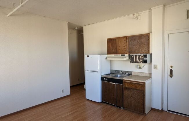 Studio, 1 bath, 245 sqft, $470, Unit 523