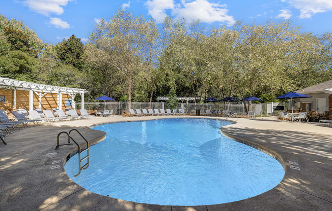A large blue swimming pool surrounded by trees and sun loungers.