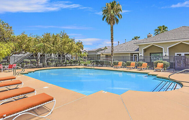 a swimming pool with chairs and a palm tree