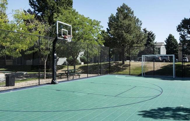 a green basketball court with a basketball hoop in the middle and trees in the background