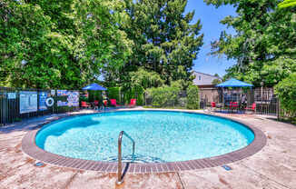 A round pool surrounded by trees and a fence.