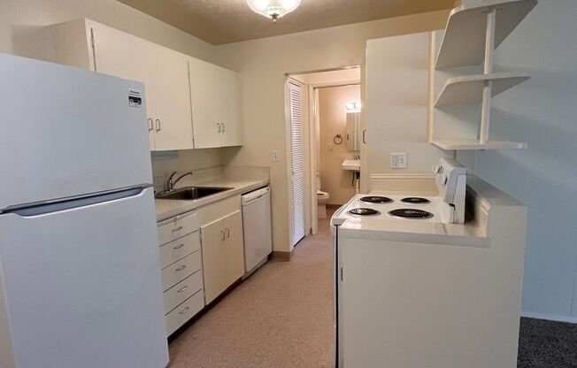 1 bed, 1 bath, $1,295, Unit 19