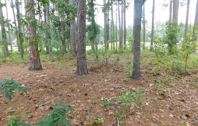 914 Muirfield Place located in the Fairfield Harbour Community! Offering Move-in Special of 1 Month Free with a Year's Lease!