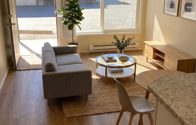 1 bed, 1 bath, 500 sqft, $1,375, Unit 1