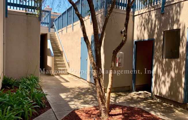 1 bed, 1 bath, 470 sqft, $1,925, Unit 09