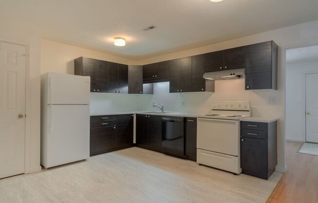 4 bedroom / 2 1/2 Bath. Undergrad Welcome. Off Street Parking, Bus Route