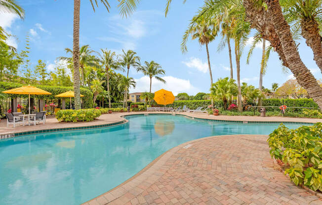 A large swimming pool surrounded by palm trees and lounge chairs.