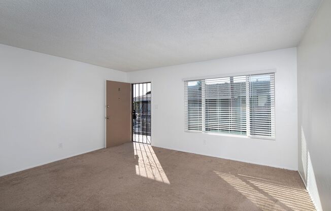 Studio, 1 bath, $1,915