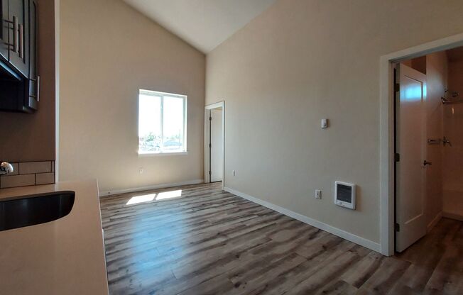 1 bed, 1 bath, $1,147, Unit A-103